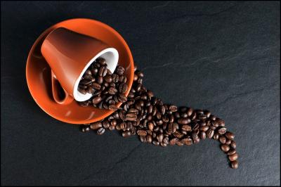 Graine de café