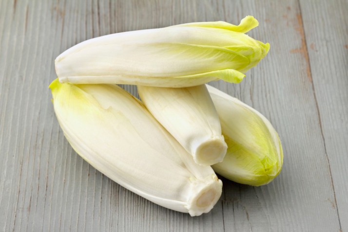 Histoire de l'endive et ses valeurs nutritionnelles