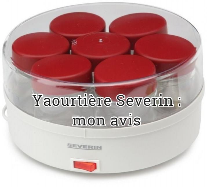 J'ai craqué pour la yaourtière Severin, mon test !